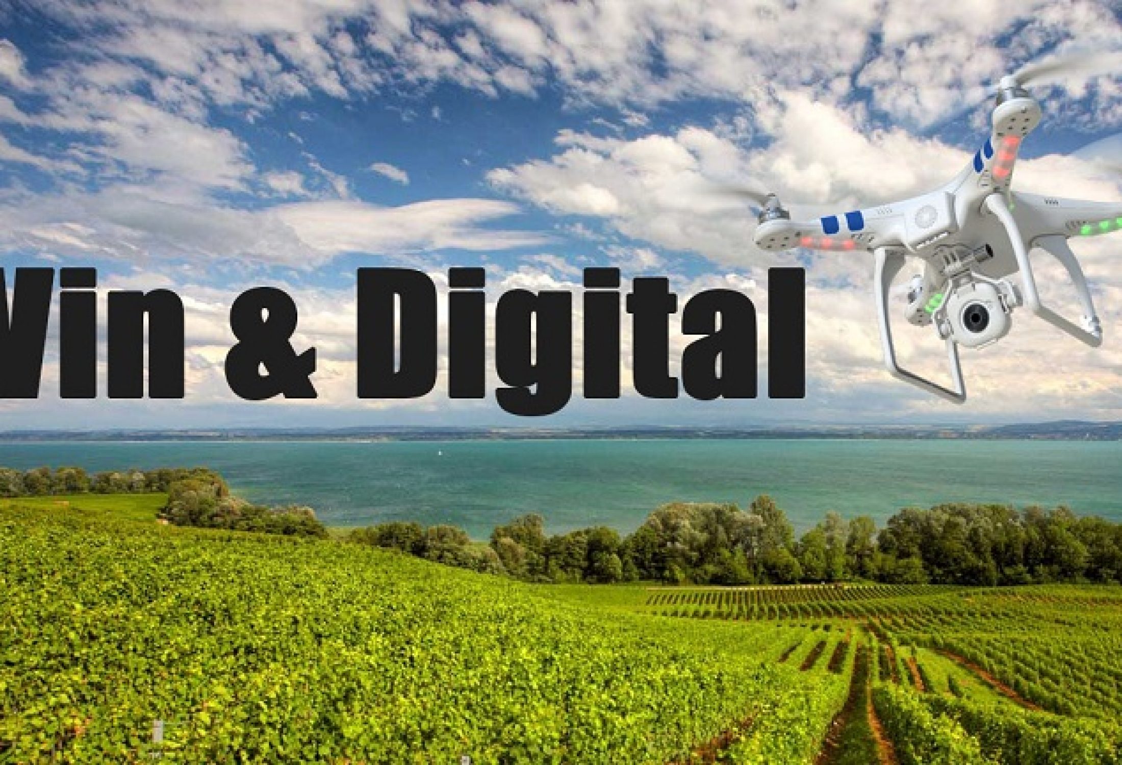 Vin & digital : les initiatives d&rsquo;ici et d&rsquo;ailleurs